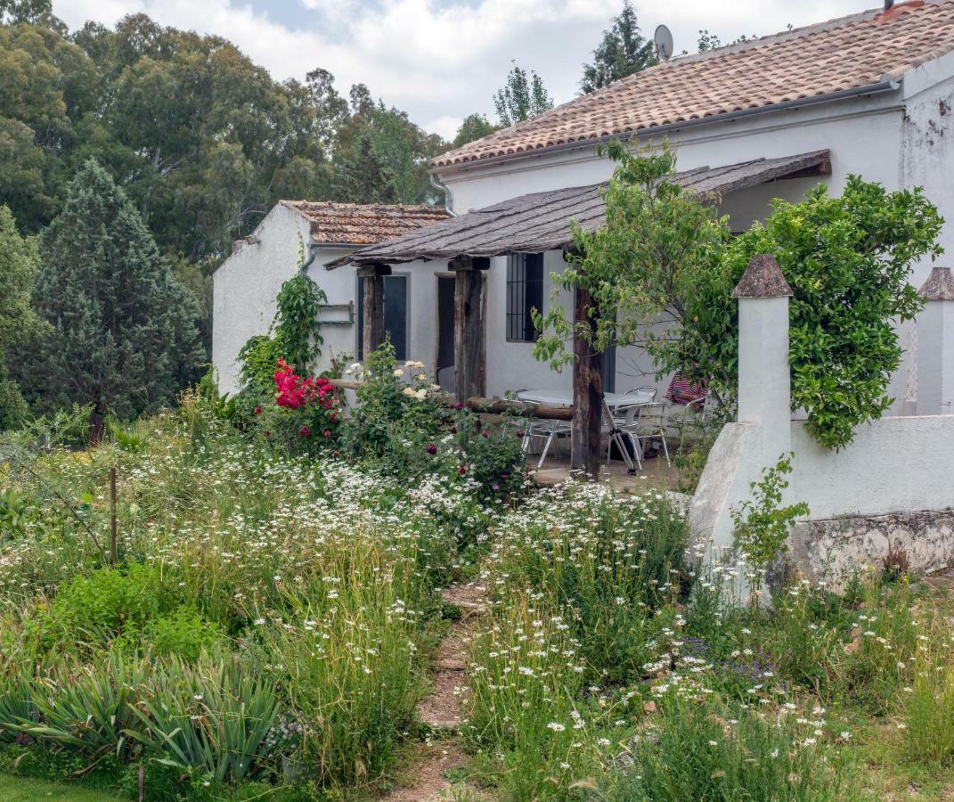 엘페드로소 La Umbria De La Ribera 게스트하우스 외부 사진